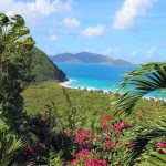 Long Bay Overlook - copyright